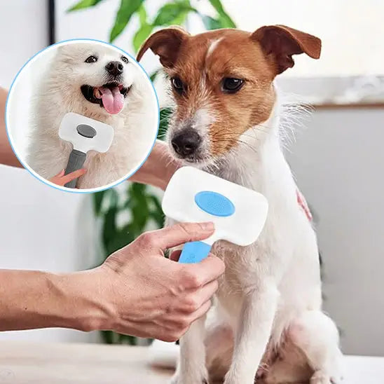 Dog-grooming brush with a circular inset showing a dog’s reaction to being brushed.