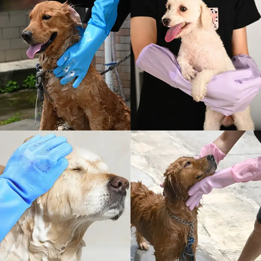 Collage of four photos showing dogs being washed or groomed.