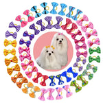 Dog Hair Bows With Rubber Bands - Vignette | DoggyElite