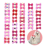 Dog Hair Bows With Rubber Bands - Vignette | DoggyElite