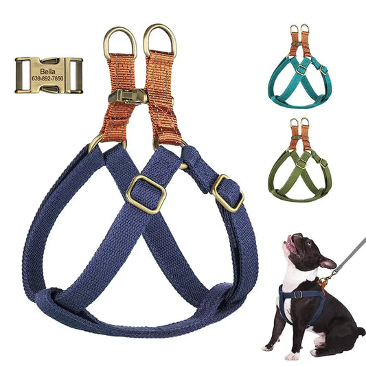 Dog harness with blue straps and orange accents.