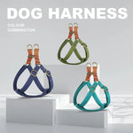 Dog Harness Light Blue - Vignette | DoggyElite