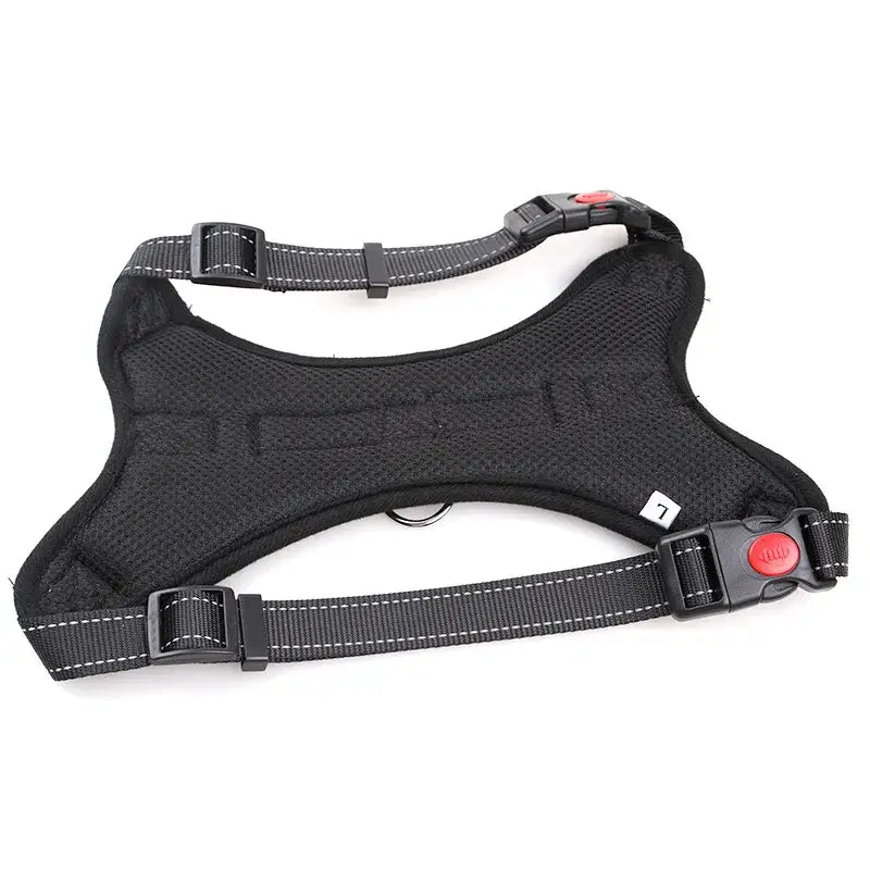 Black dog harness with adjustable straps and buckles.