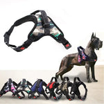 Dog Harness With Handle - Vignette | DoggyElite