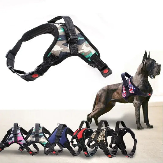 Dog harness with adjustable straps and various color options displayed alongside a Great Dane wearing one.