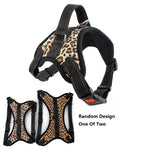 Dog Harness With Handle - Vignette | DoggyElite