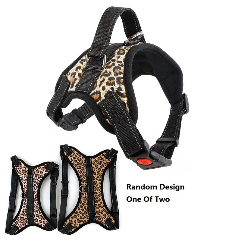 Dog harness with leopard print accents and adjustable straps.