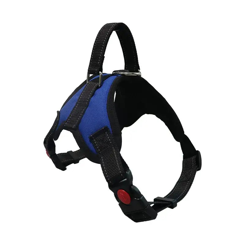 Dog harness with blue and black fabric panels and adjustable straps.