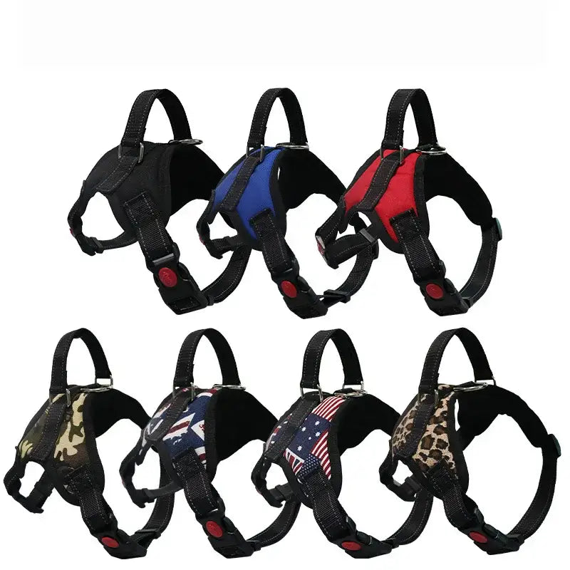 Dog harnesses in various colors and patterns.