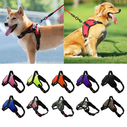 Dog harnesses in various colors and styles.