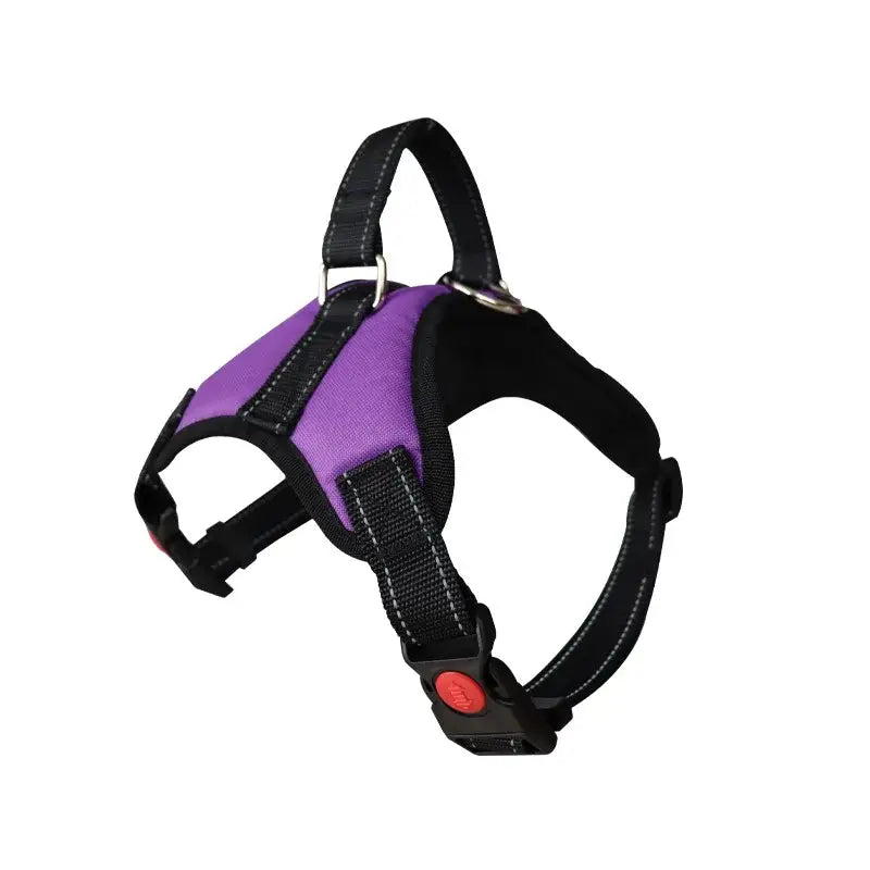 Purple and black dog harness with adjustable straps and a handle on top.