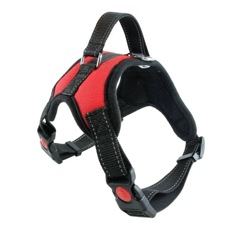 Red and black adjustable dog harness with padded chest piece and sturdy straps.