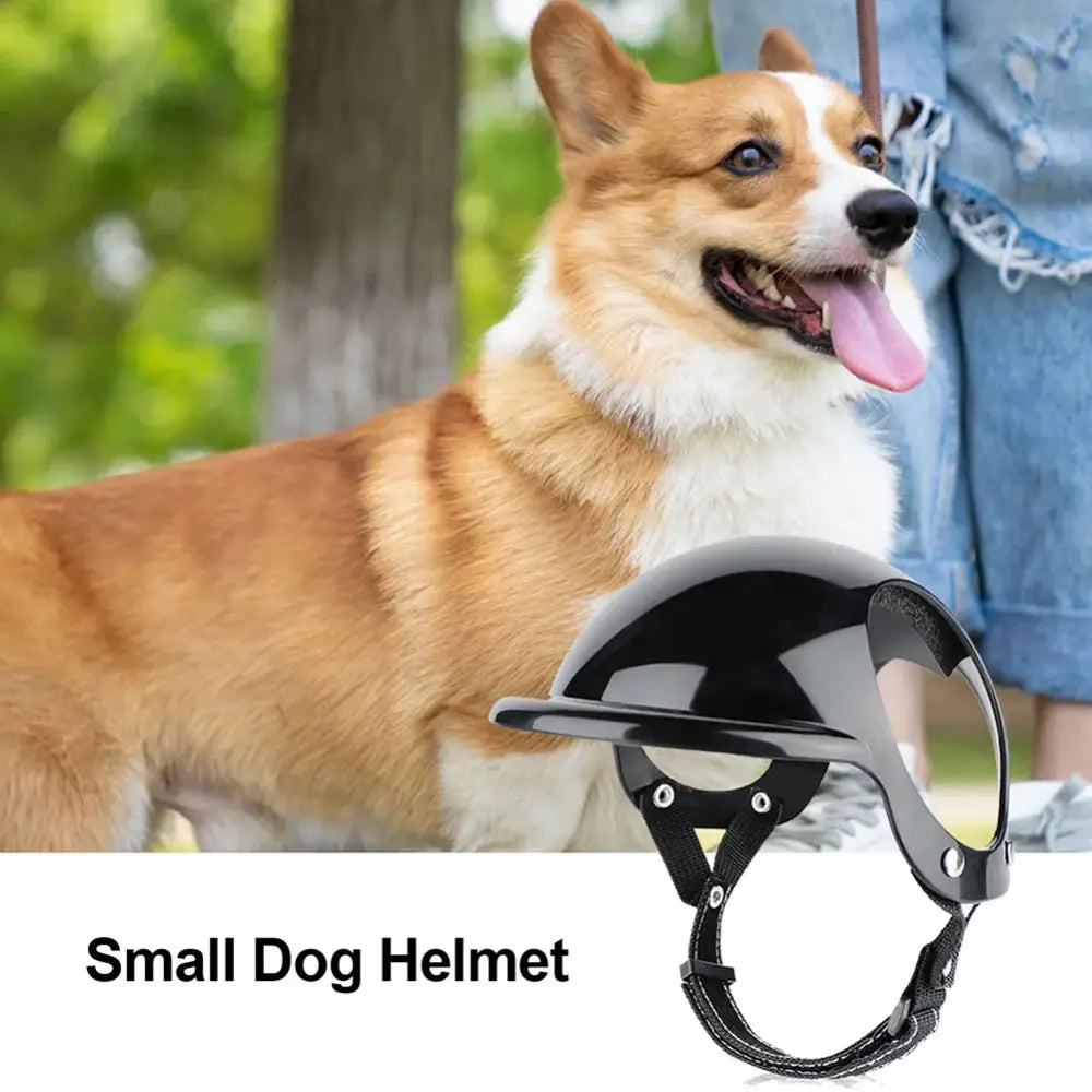 Helmet designed for small dogs, featuring a rounded black shell with straps.