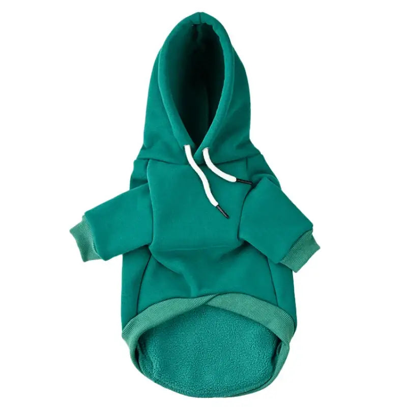 Teal hooded sweatshirt for a pet or small animal.