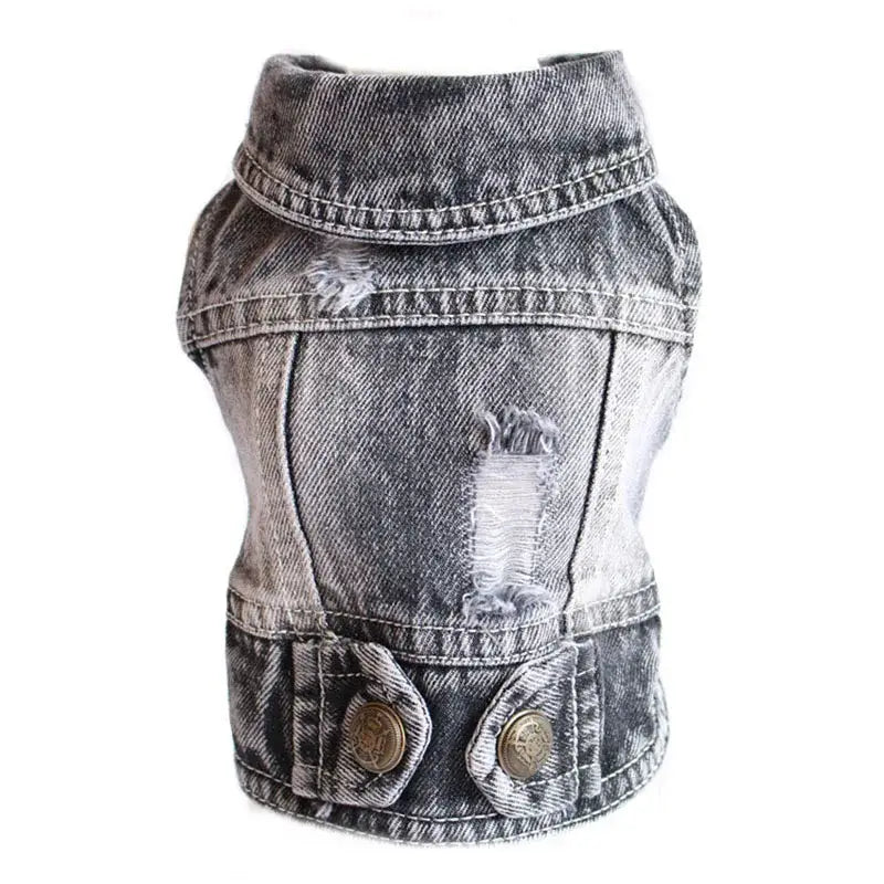 Faded gray denim vest or jacket for a small pet or dog.