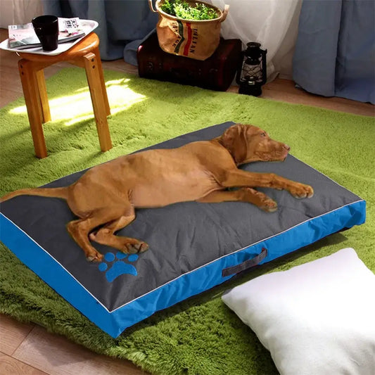 Brown dog sleeping on a gray and blue rectangular pet bed.