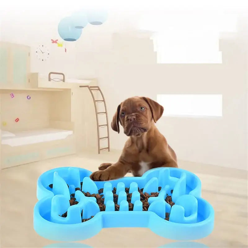 Adorable brown puppy sitting behind a bright blue bone-shaped dog bowl.