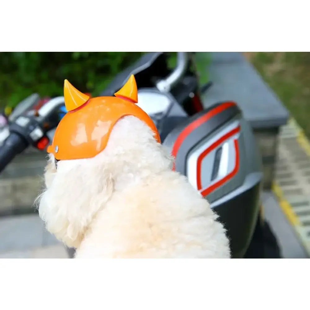 Dog wearing an orange helmet with pointed ears on a motorcycle.