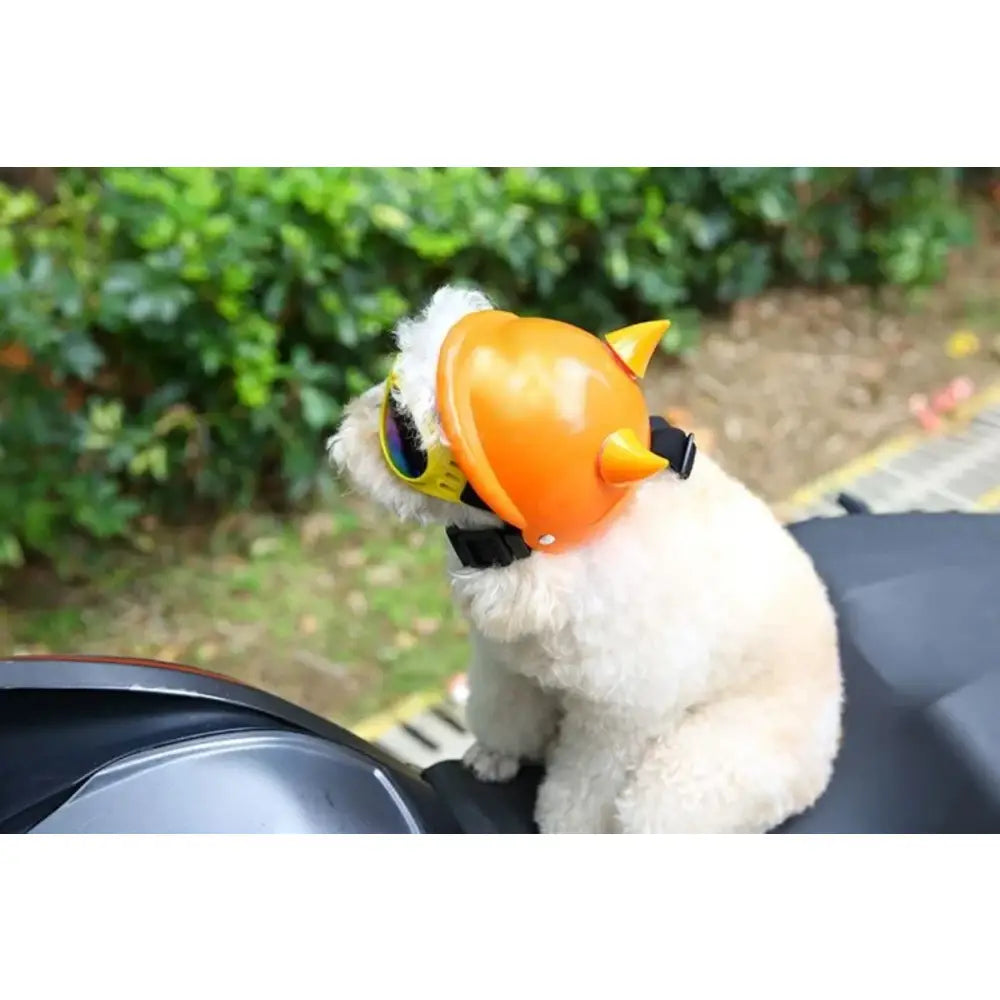 White dog wearing an orange duck-shaped muzzle.