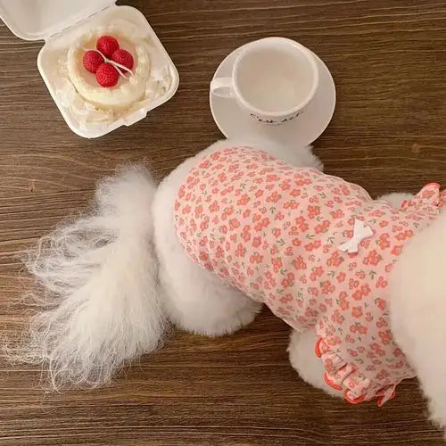 Fluffy white dog wearing a pink floral outfit.