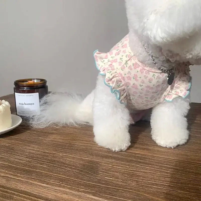 Fluffy white dog wearing a pink floral dress.