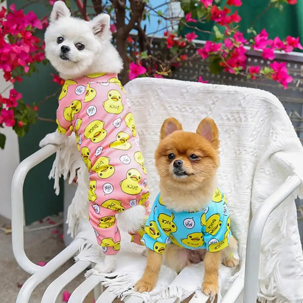 Two small dogs wearing colorful patterned outfits sitting on a white bench.