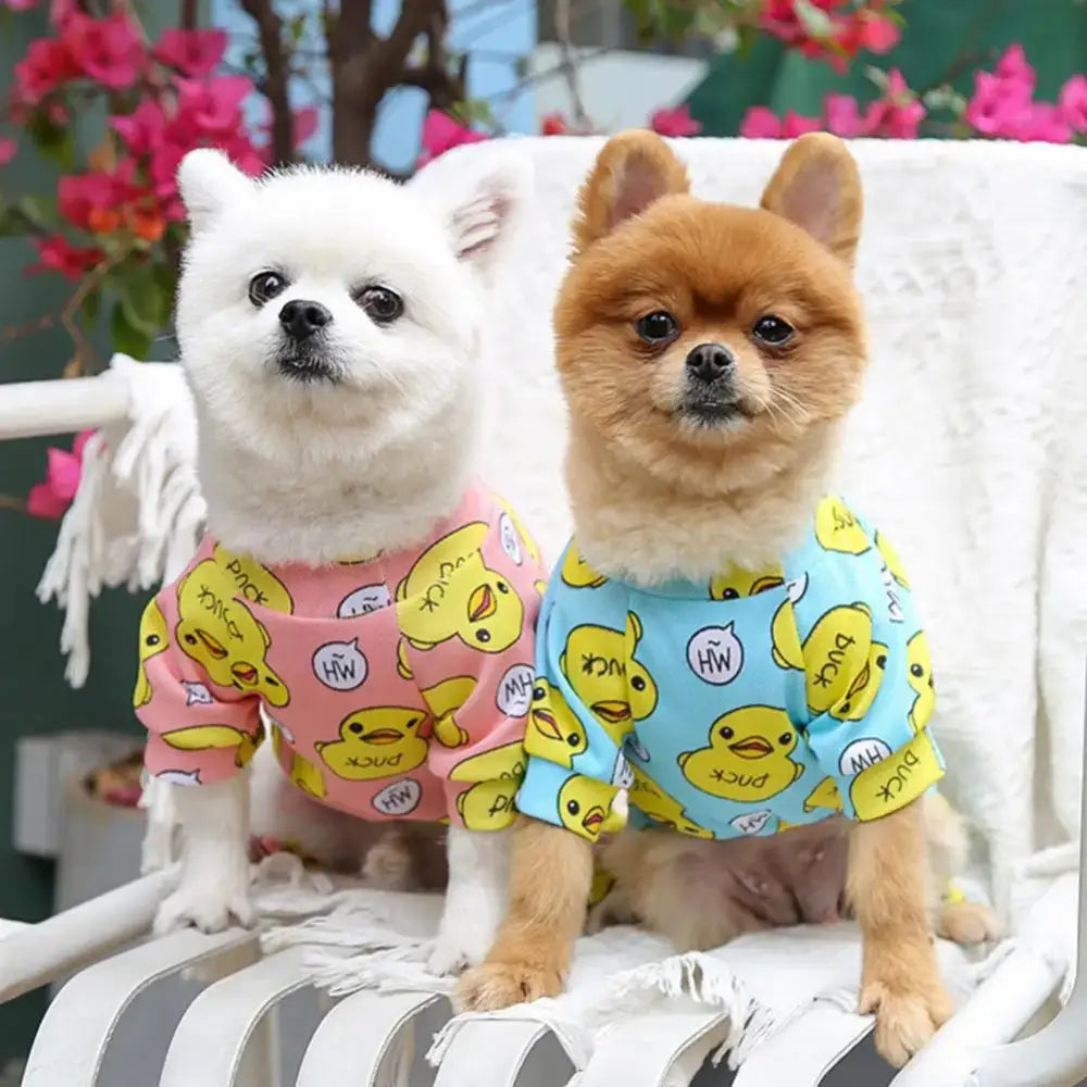 Two small dogs wearing colorful patterned shirts sitting together on a white surface.