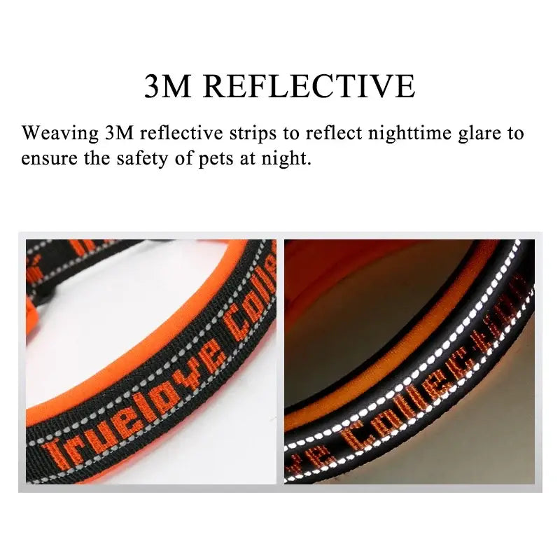 Reflective pet collar with orange and black stripes.