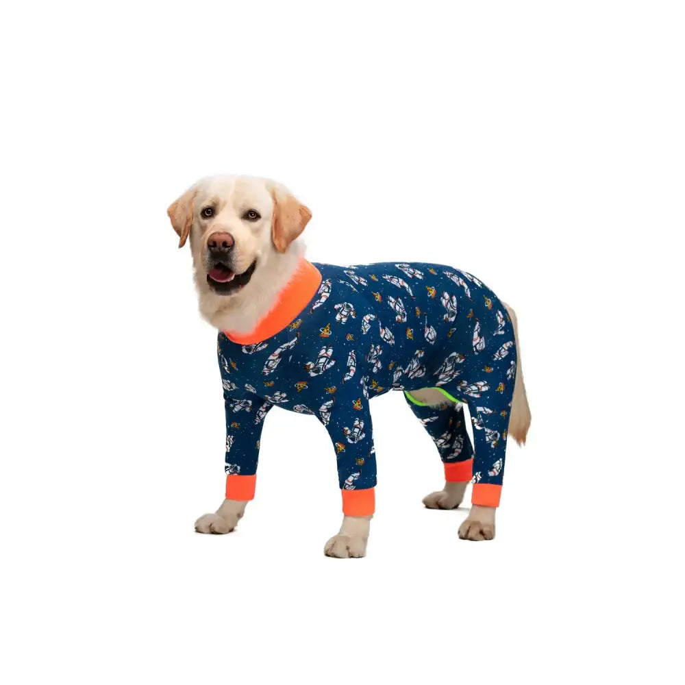 Yellow Labrador retriever wearing a blue patterned onesie with orange trim.