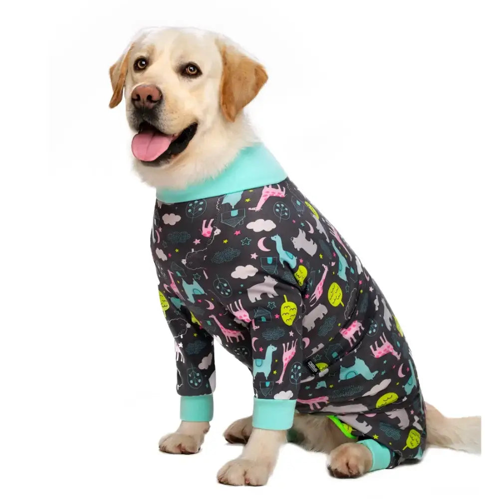 Yellow Labrador retriever wearing colorful patterned pajamas.