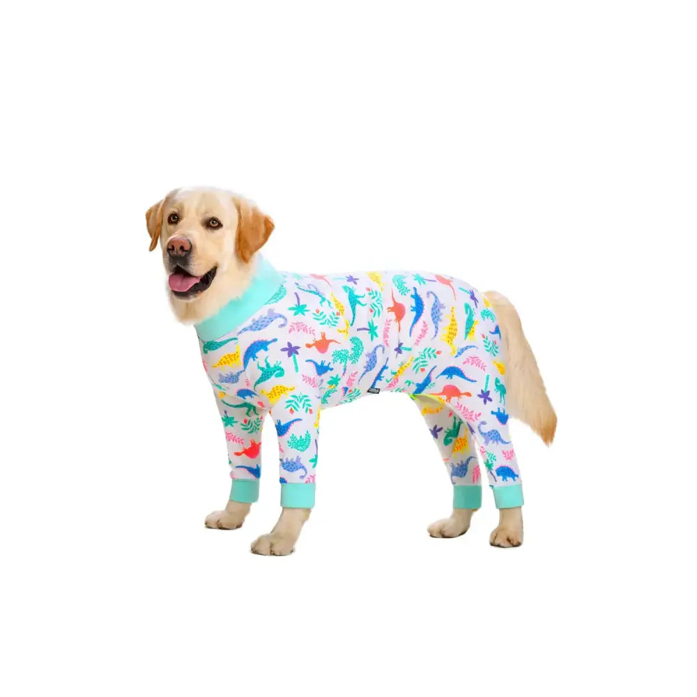 Yellow Labrador retriever wearing a colorful patterned onesie with teal trim.