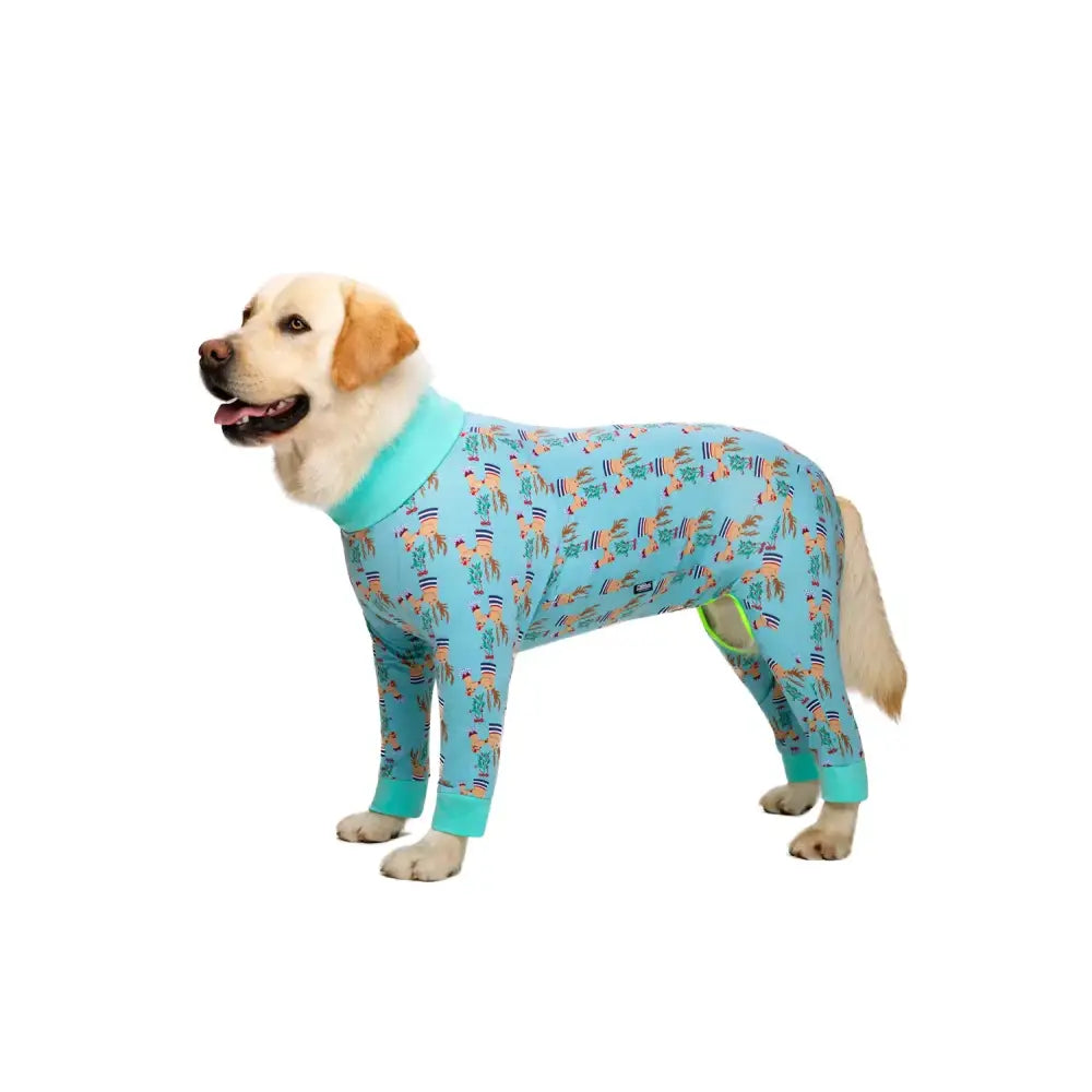 Yellow Labrador retriever wearing a light blue patterned onesie pajama.