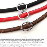 Dog Rope Leashes - Vignette | DoggyElite