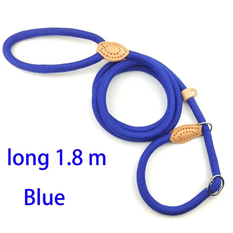 Blue nylon dog leash with leather accents and a slip collar design.