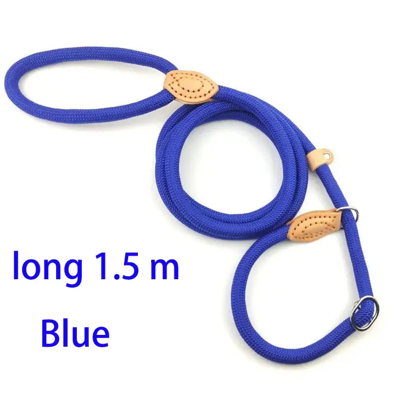 Blue nylon dog leash with leather accents and a metal clasp.