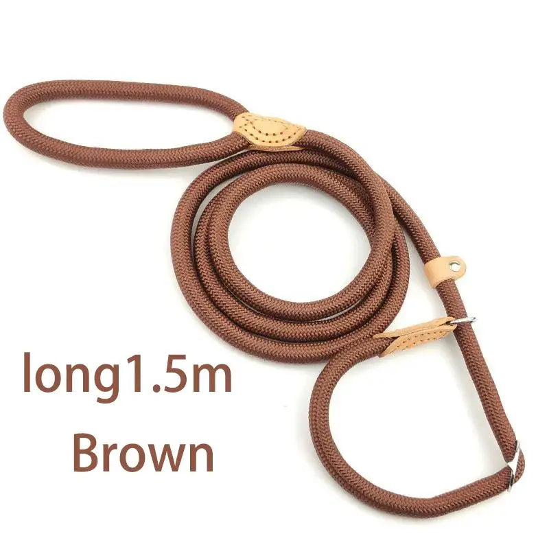 Brown rope dog leash with a loop handle and metal hardware.