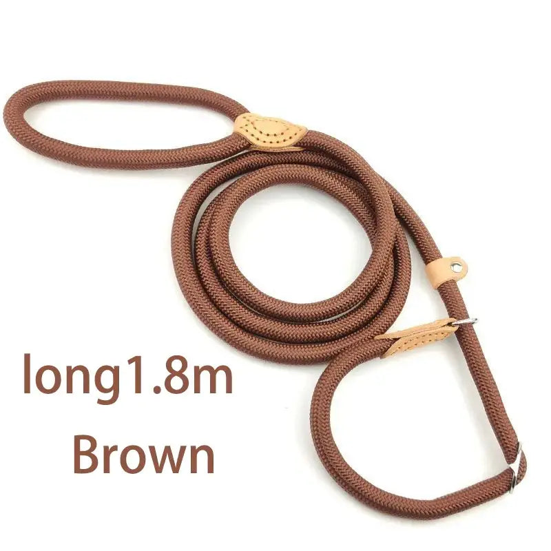 Brown rope dog leash with a loop handle and metal clasp.