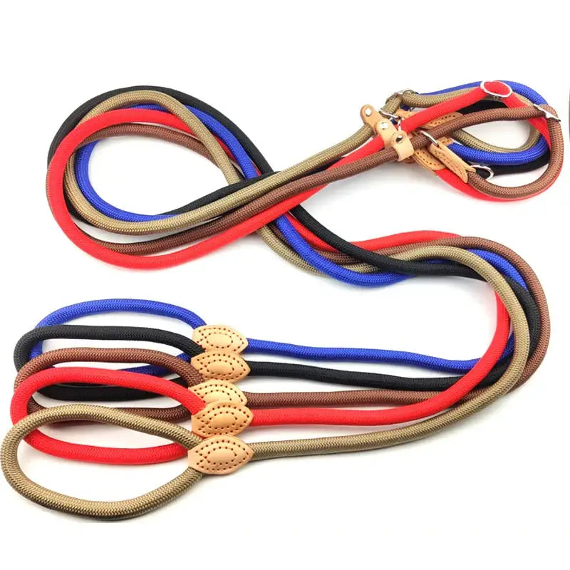 Colorful nylon rope dog leash with multiple loops and a metal clasp.