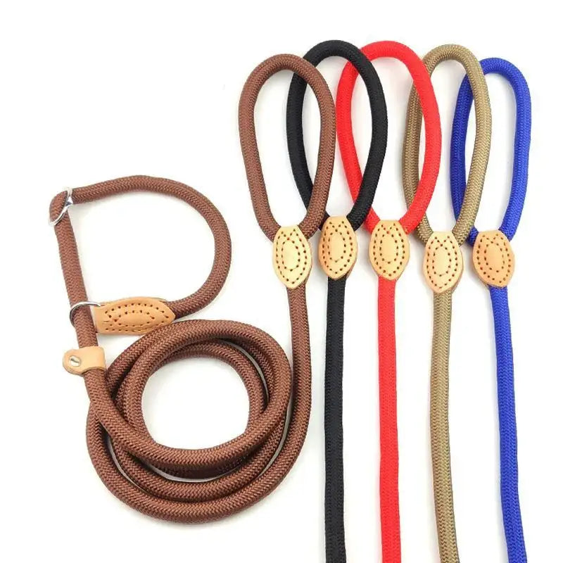 Colorful nylon rope dog leashes with oval metal clasps.