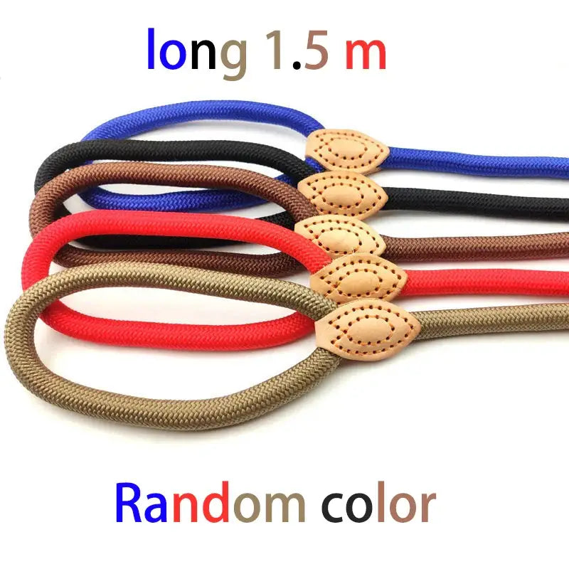 Colorful rope leashes with leather connectors, measuring 1.5 meters long.