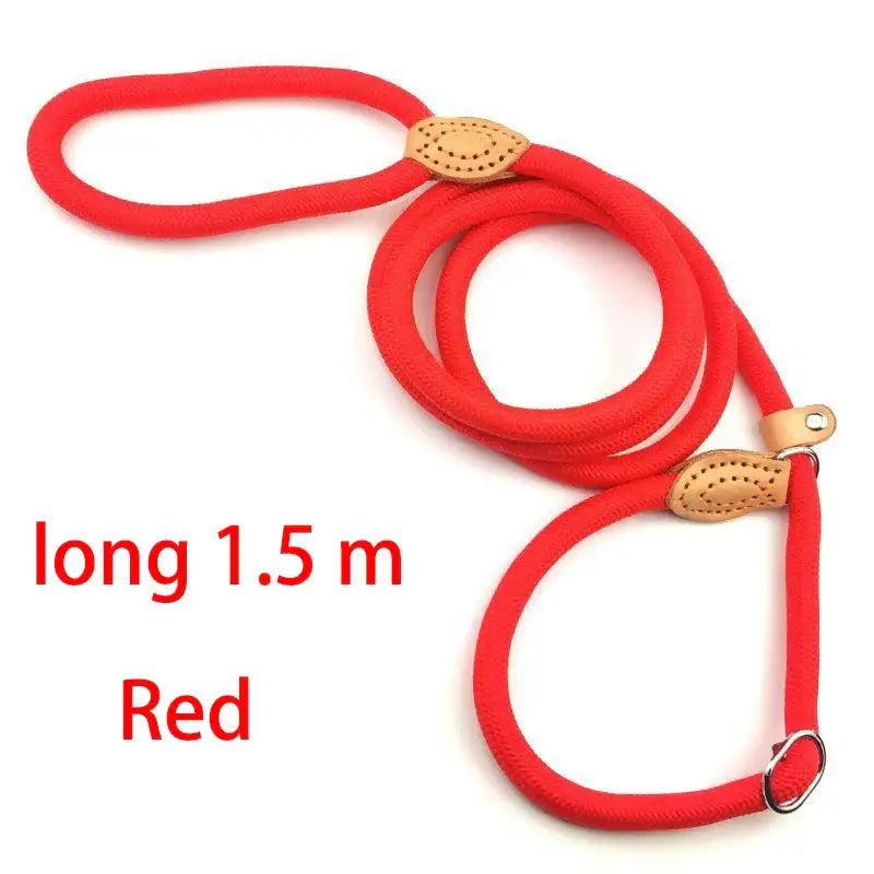 Red nylon dog leash with a metal clip and decorative accents.