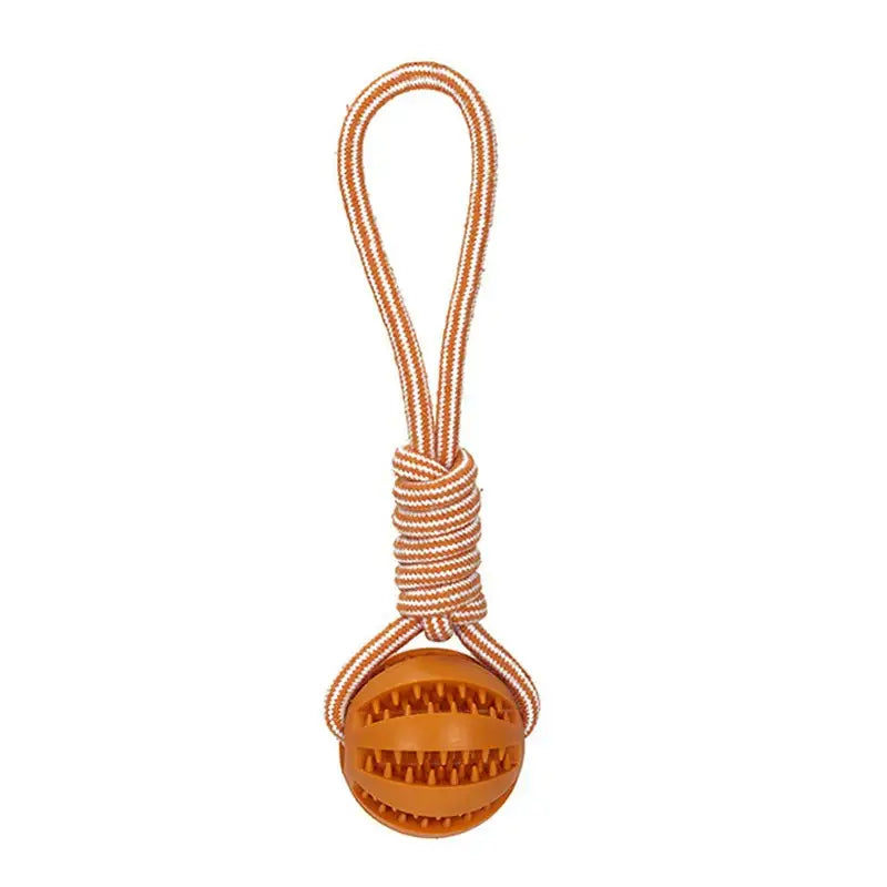 Dog toy consisting of a rubber ball attached to a rope handle.