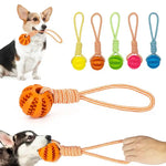 Dog Rope Toy With Ball - Vignette | DoggyElite