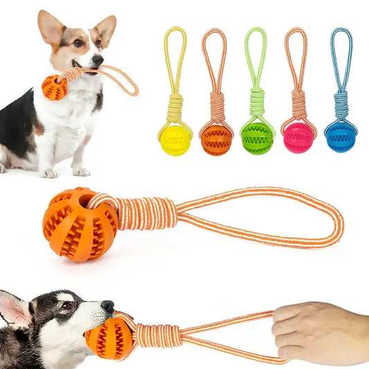 Dog toy consisting of a rubber ball attached to a rope handle in various bright colors.