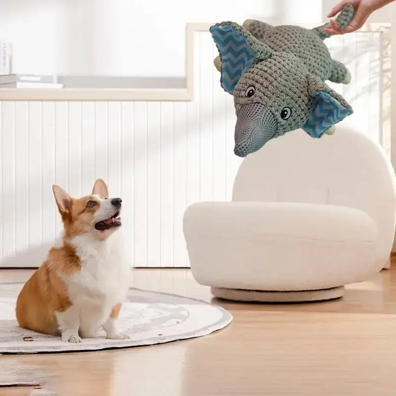 Corgi dog sitting on a circular mat, looking up at a knitted elephant toy being held above it.