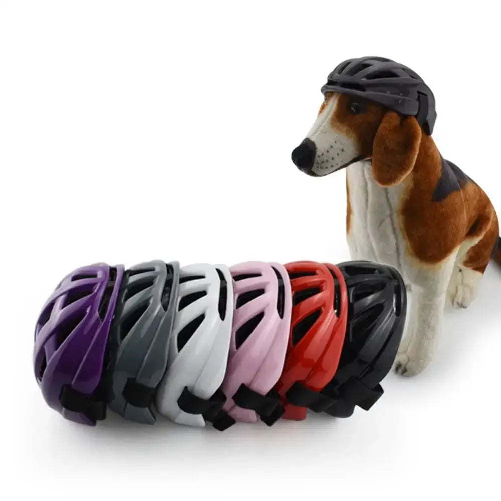 Dog wearing a bicycle helmet next to a row of colorful helmets.