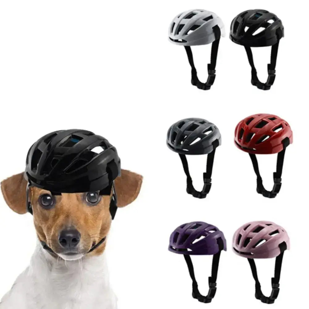 Dog wearing a black bicycle helmet.