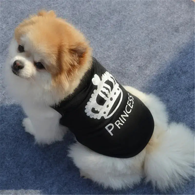 Fluffy puppy wearing a black ’Princess’ shirt with a crown design.