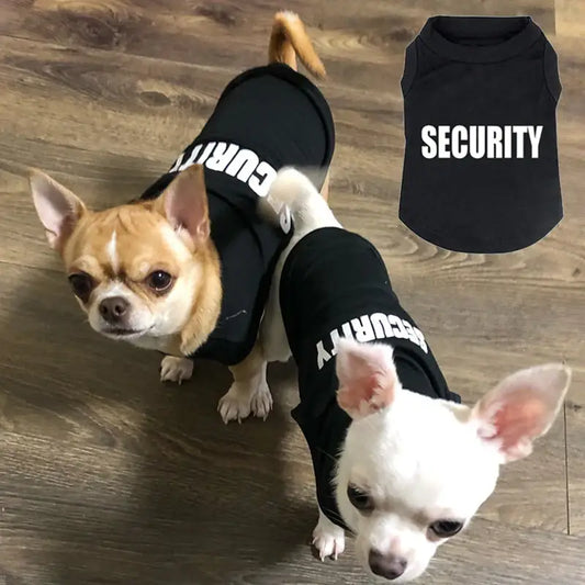 Two Chihuahuas wearing black ’Security’ vests.