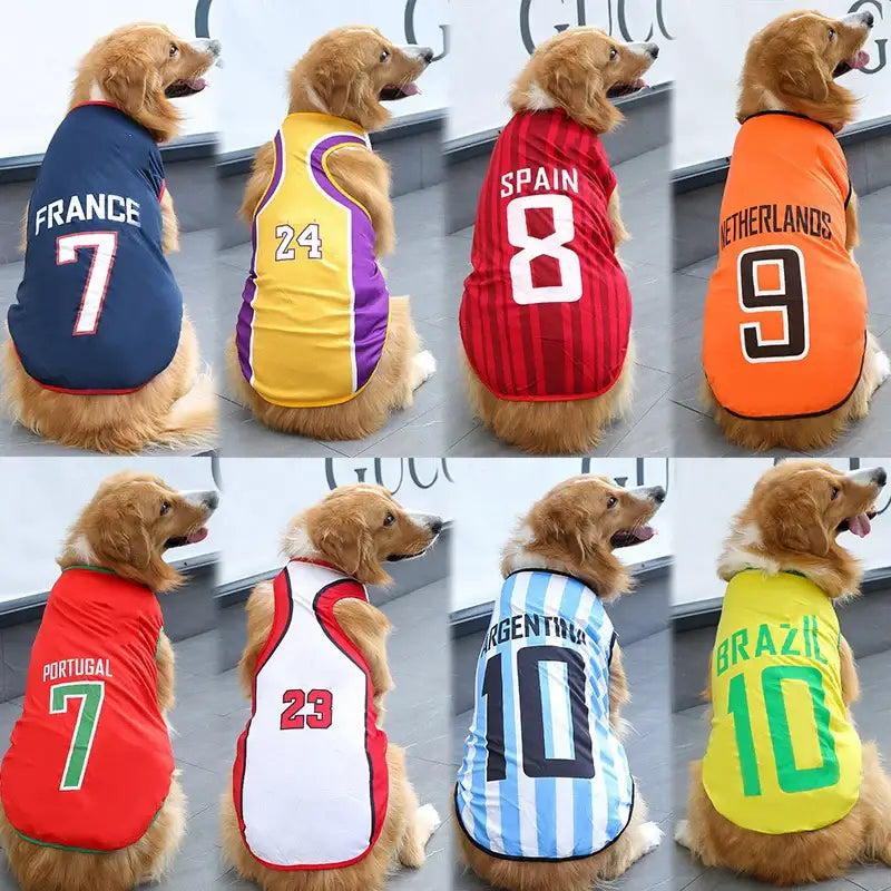 Dogs wearing sports jerseys representing different countries and teams.